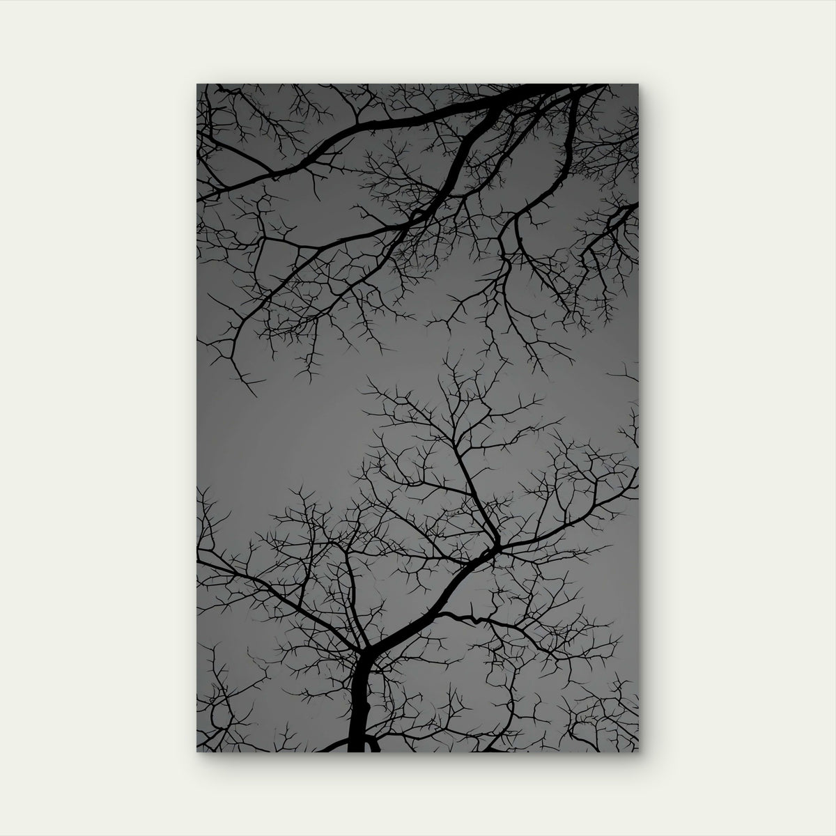 Gothic Spooky Bare Tree Branch Silhouette 40x60cm Metal Print Ready to Hang