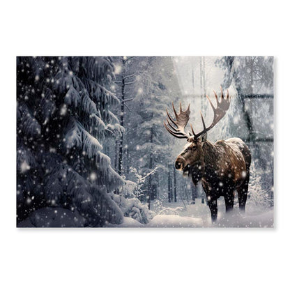 Moose In a Snow-Covered Forest  Acrylic Glass Print Tempered Glass Wall Art 100% Made in Australia Ready to Hang