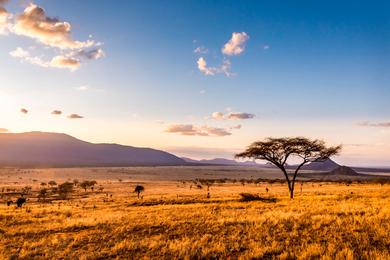 View of Sunset at Savannah Plains with Mountains Print 100% Australian Made