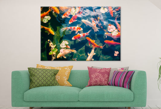 Colorful Koi Fish in Pond Wall Art Decor 100% Australian Made