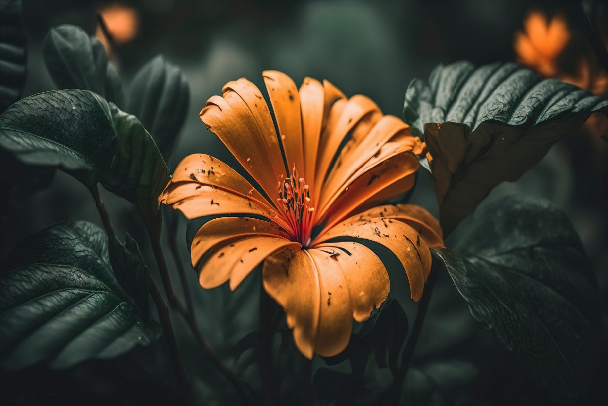 Close-up of an Orange Blossom Home Decor Premium Quality Poster Print Choose Your Sizes