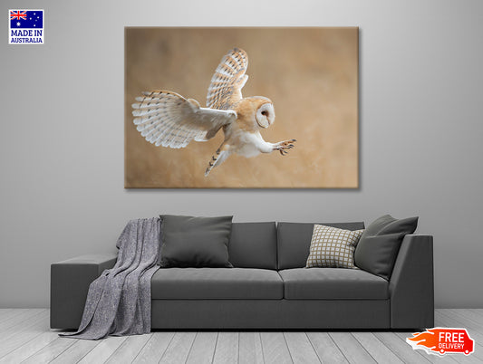 White & Beige Barn Owl Flying Print 100% Australian Made