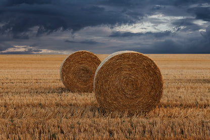 Straw Bales in A Field at Sunset View Wall Art Decor 100% Australian Made