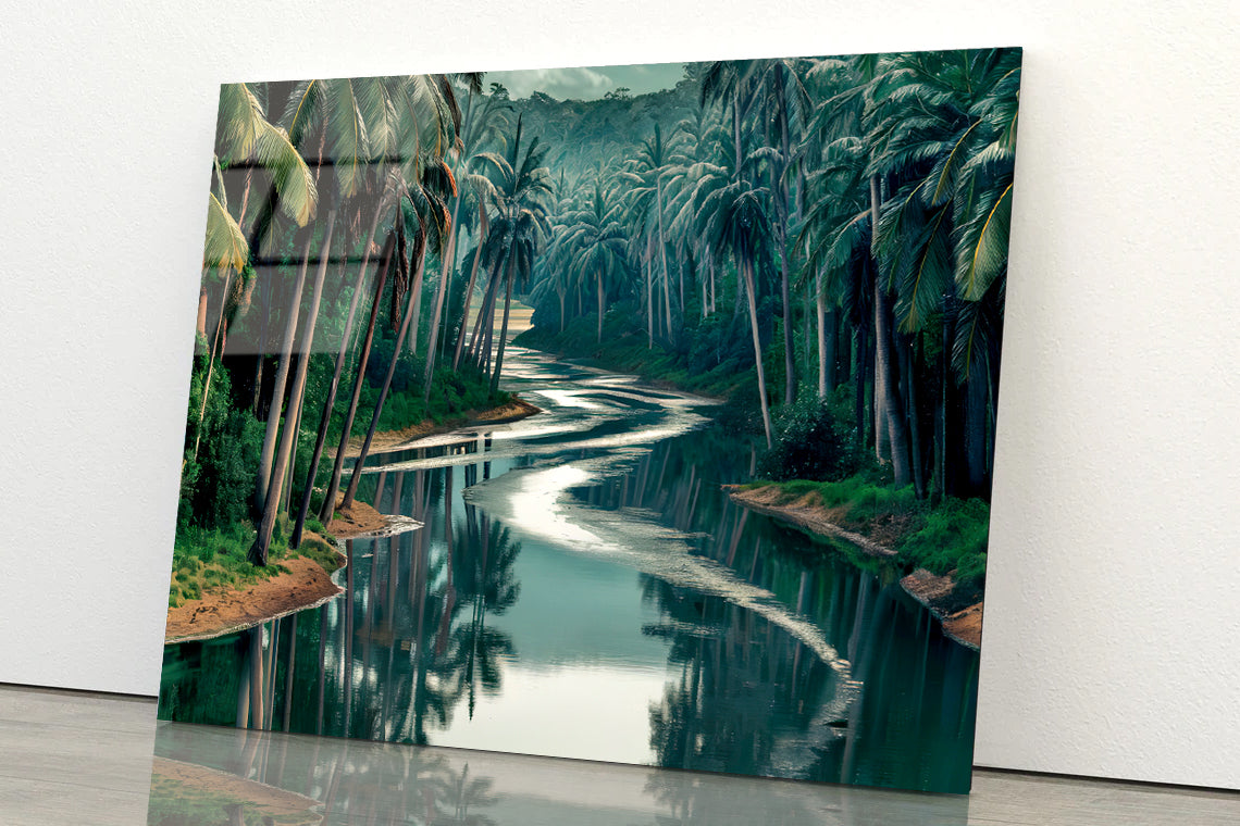 Tropical Forest with Trees, Lake Acrylic Glass Print Tempered Glass Wall Art 100% Made in Australia Ready to Hang