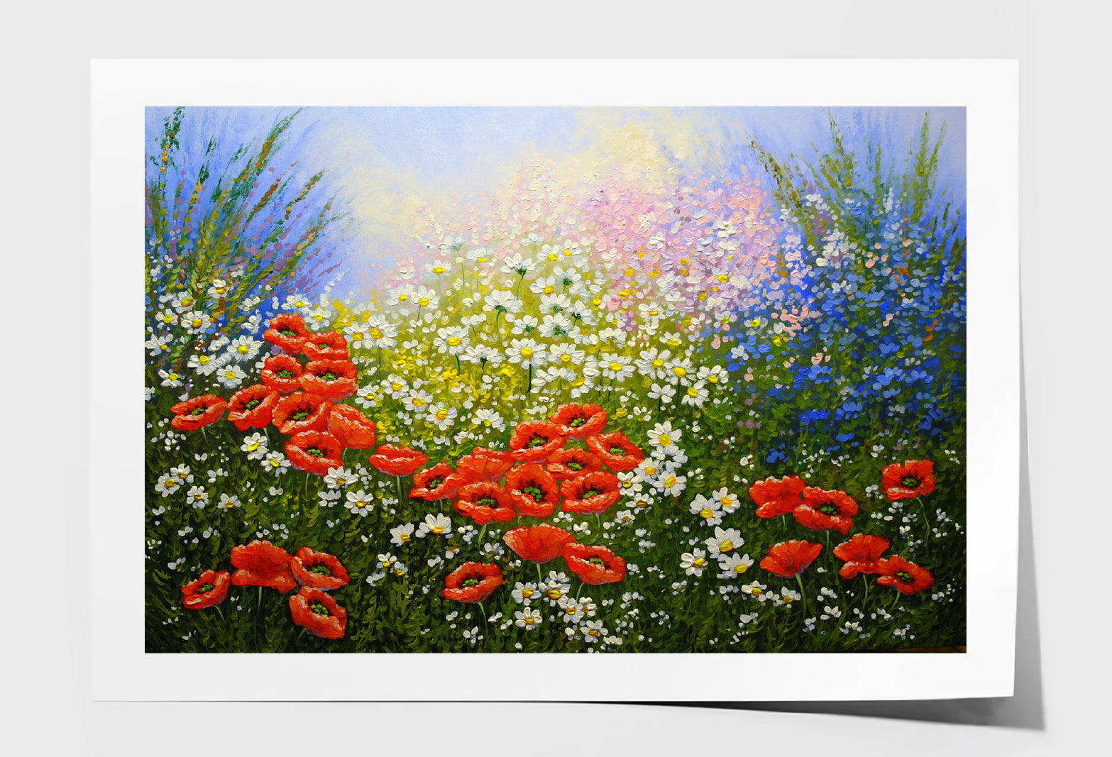 White Flowers & Red Poppies Field Oil Painting Wall Art Limited Edition High Quality Print Unframed Roll Canvas None