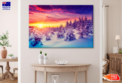 Winter Landscape with Spruce Trees  Wall Art Decor 100% Australian Made