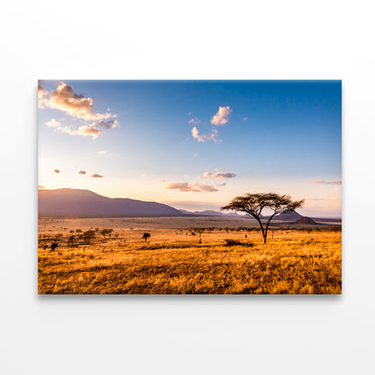 View of Sunset at Savannah Plains with Mountains Print 100% Australian Made