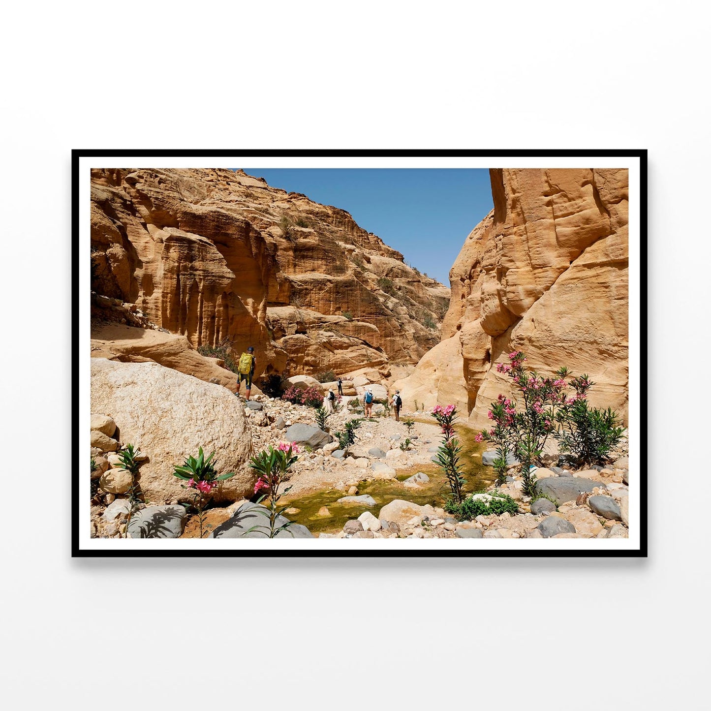 Dana Biosphere Reserve in Jordan Home Decor Premium Quality Poster Print Choose Your Sizes