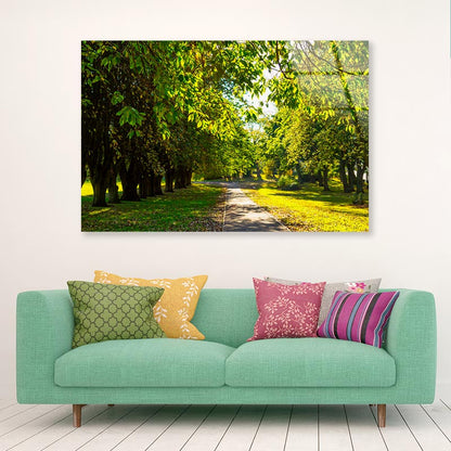 A Line of Trees Acrylic Glass Print Tempered Glass Wall Art 100% Made in Australia Ready to Hang