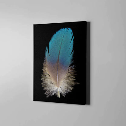 Feather Closeup UV Direct Aluminum Print Australian Made Quality