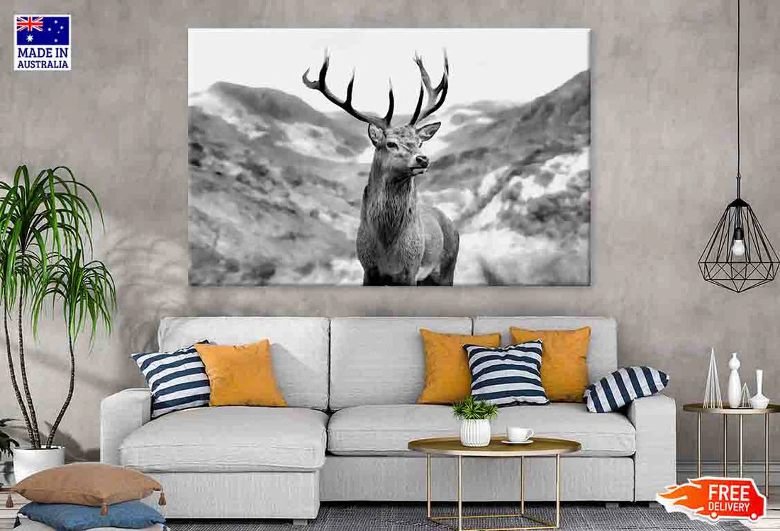 Black & white Deer 90x60cm Print 100% Australian Made