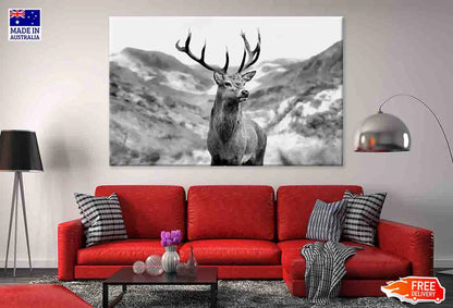 Black & white Deer 90x60cm Print 100% Australian Made