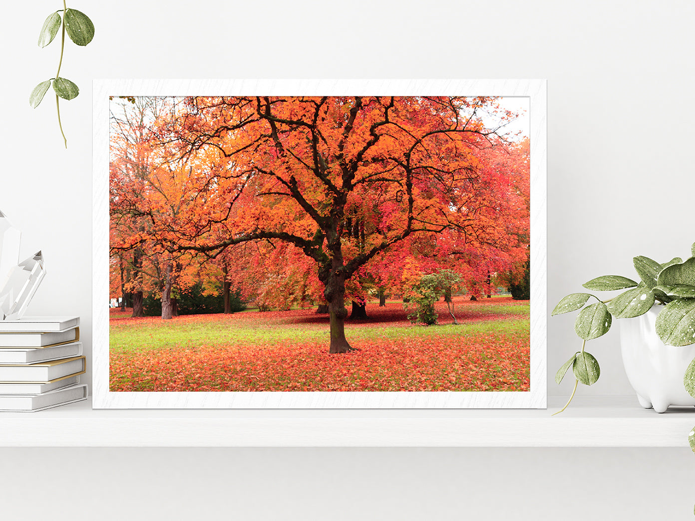 Autumn Tree In The Park Glass Framed Wall Art, Ready to Hang Quality Print Without White Border White