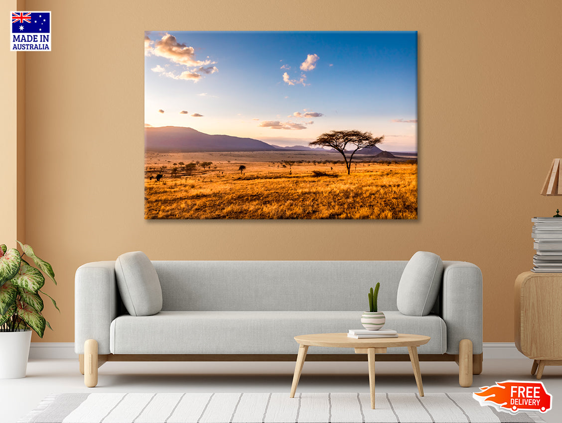 View of Sunset at Savannah Plains with Mountains Print 100% Australian Made