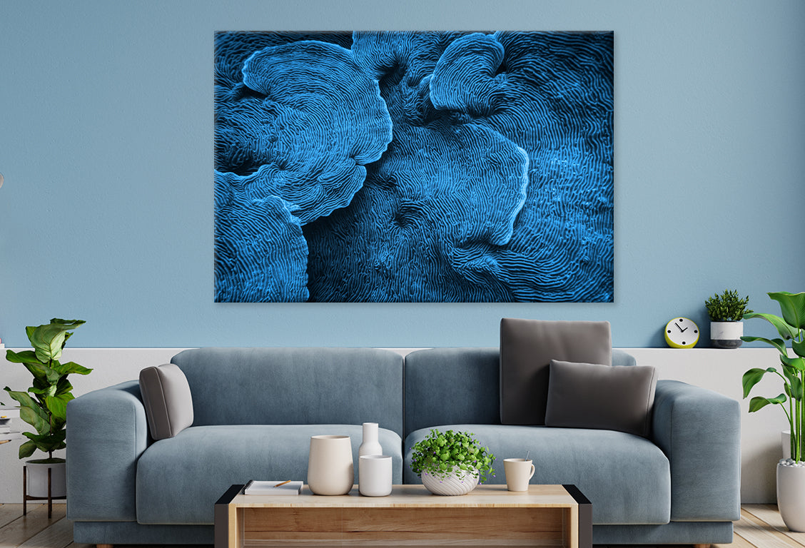 Elephant Skin Coral Texture Abstract Wall Art Decor 100% Australian Made - Bella Home Decor