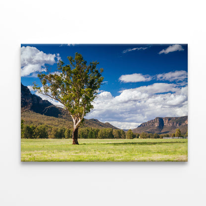 A Cloudy Sky and Mountains with Grass and Meadows Print 100% Australian Made