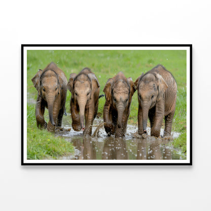 A Group of Elephants Peacefully Grazing Home Decor Premium Quality Poster Print Choose Your Sizes