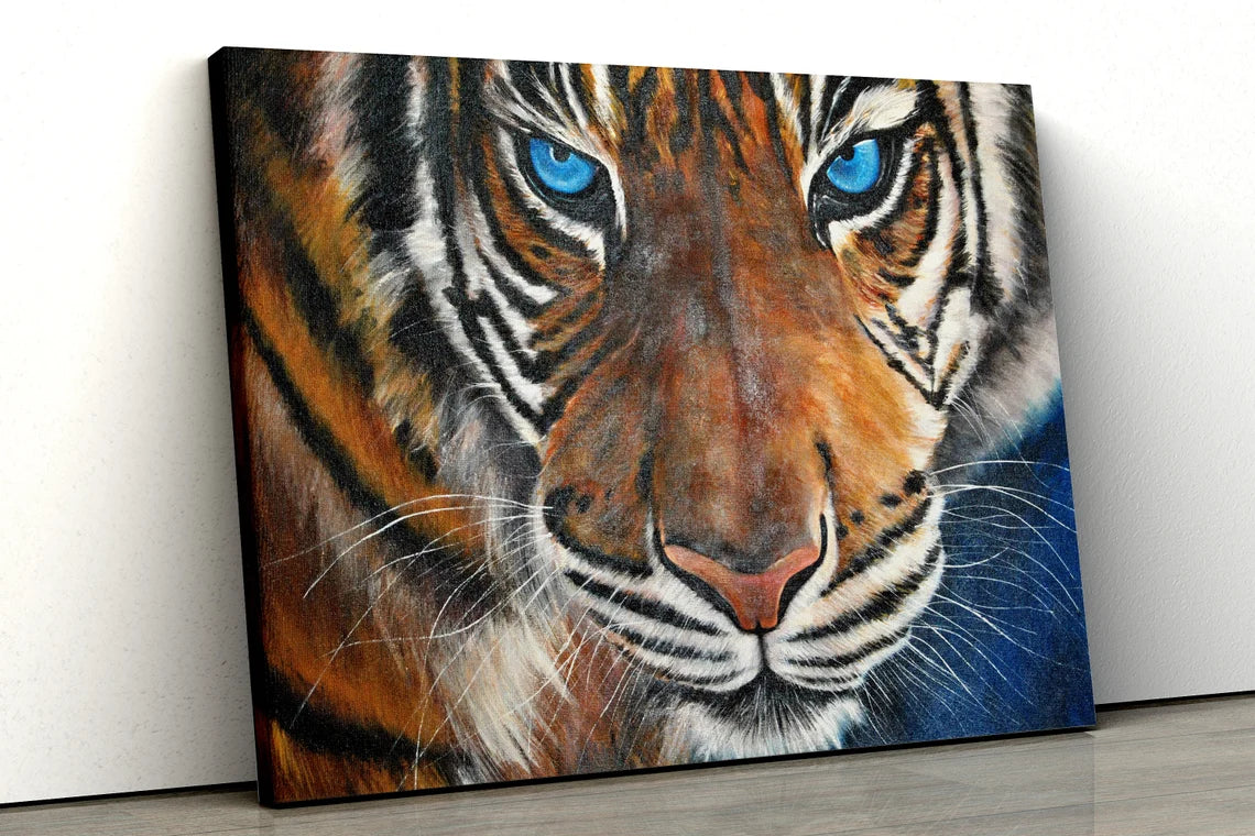 Large Tiger with Blue Eyes UV Direct Aluminum Print Australian Made Quality