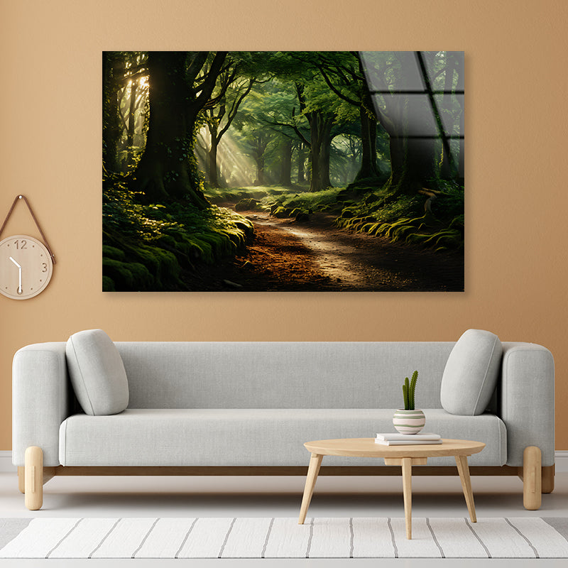 Morning in the Woods Acrylic Glass Print Tempered Glass Wall Art 100% Made in Australia Ready to Hang