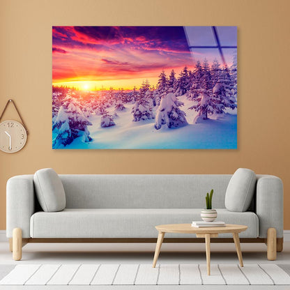 Winter Landscape with Spruce Trees  Acrylic Glass Print Tempered Glass Wall Art 100% Made in Australia Ready to Hang