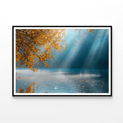 A Sunny and Foggy Morning Home Decor Premium Quality Poster Print Choose Your Sizes