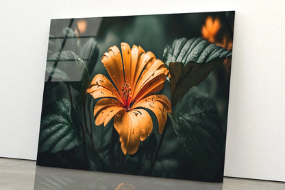 Close-up of an Orange Blossom Acrylic Glass Print Tempered Glass Wall Art 100% Made in Australia Ready to Hang