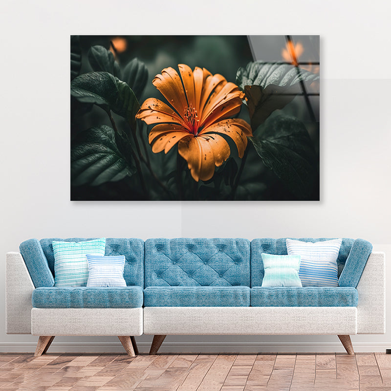 Close-up of an Orange Blossom Acrylic Glass Print Tempered Glass Wall Art 100% Made in Australia Ready to Hang