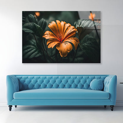 Close-up of an Orange Blossom Acrylic Glass Print Tempered Glass Wall Art 100% Made in Australia Ready to Hang