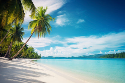 Beach with Palm Trees & a Clear Sky Home Decor Premium Quality Poster Print Choose Your Sizes