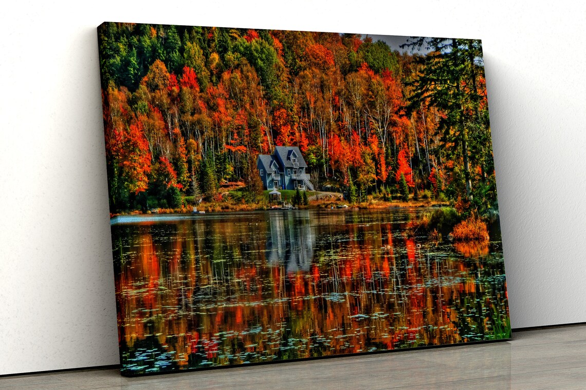 Autumn Forest trees with lake reflection UV Direct Aluminum Print Australian Made Quality