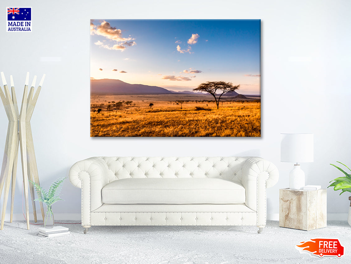 View of Sunset at Savannah Plains with Mountains Print 100% Australian Made