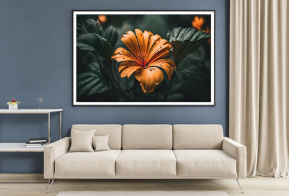 Close-up of an Orange Blossom Home Decor Premium Quality Poster Print Choose Your Sizes