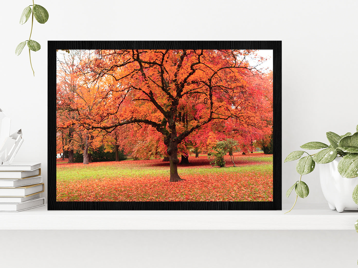 Autumn Tree In The Park Glass Framed Wall Art, Ready to Hang Quality Print Without White Border Black