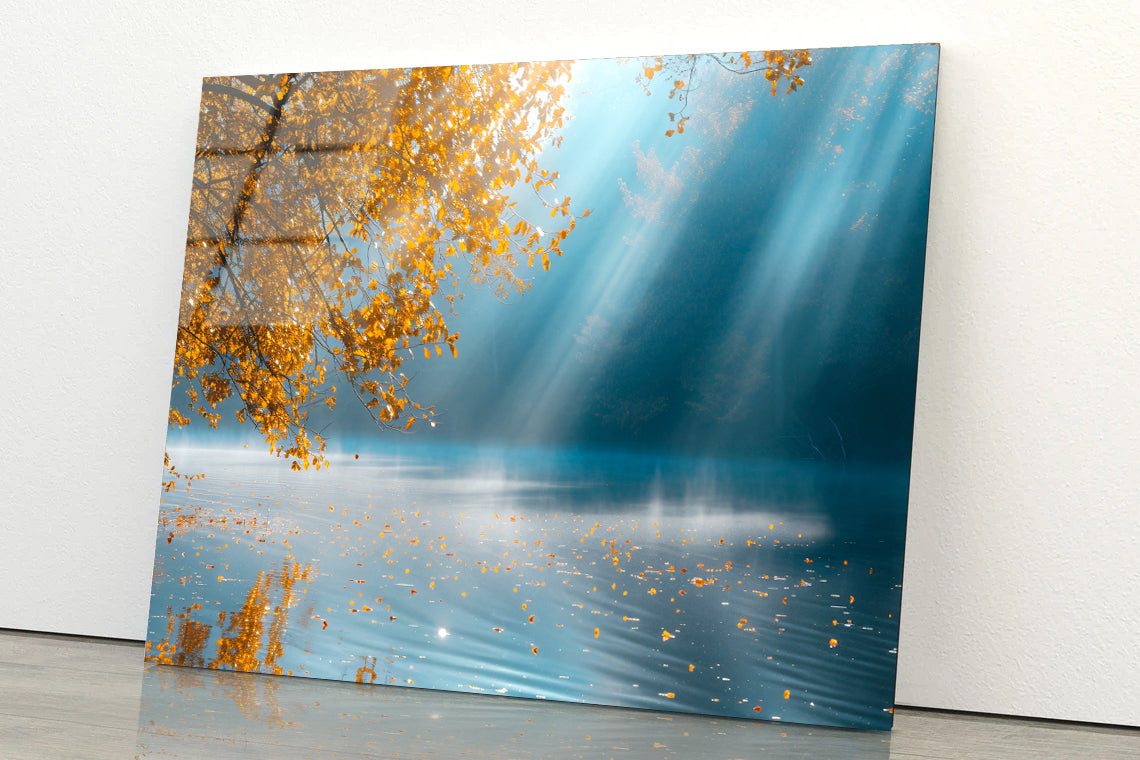 A Sunny and Foggy Morning Acrylic Glass Print Tempered Glass Wall Art 100% Made in Australia Ready to Hang