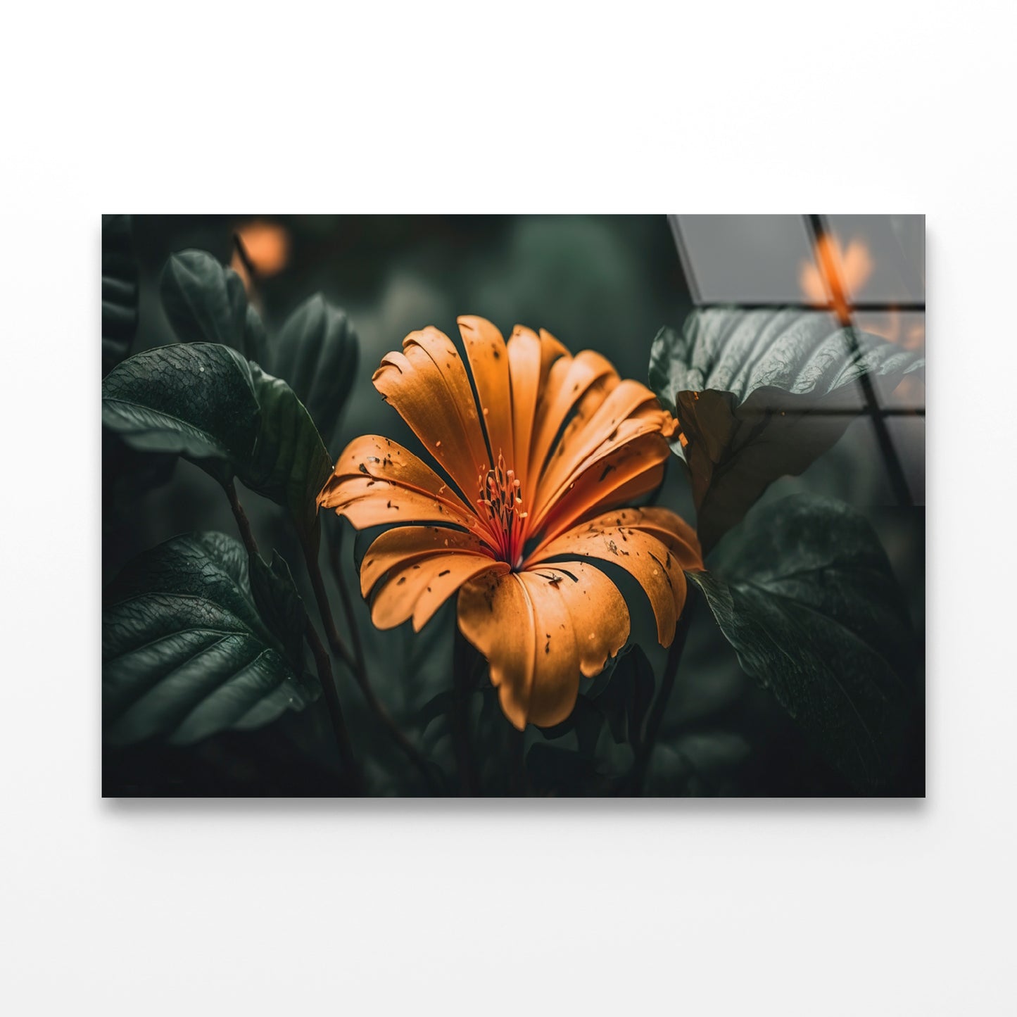 Close-up of an Orange Blossom Acrylic Glass Print Tempered Glass Wall Art 100% Made in Australia Ready to Hang