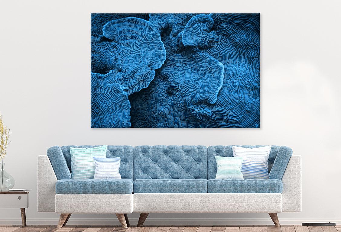 Elephant Skin Coral Texture Abstract Wall Art Decor 100% Australian Made - Bella Home Decor