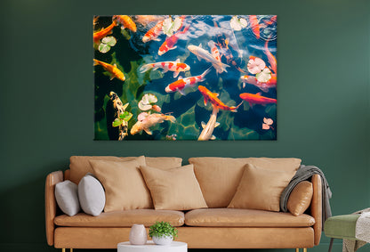 Colorful Koi Fish in Pond Wall Art Decor 100% Australian Made