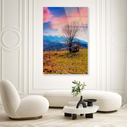 Lonely Leafless Tree Acrylic Glass Print Tempered Glass Wall Art 100% Made in Australia Ready to Hang