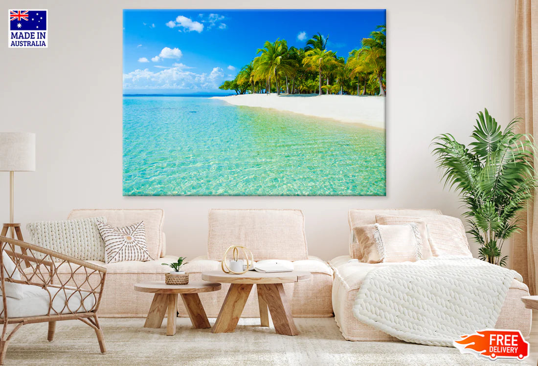 Palm Trees & Sea Aerial View 90x60cm Print 100% Australian Made