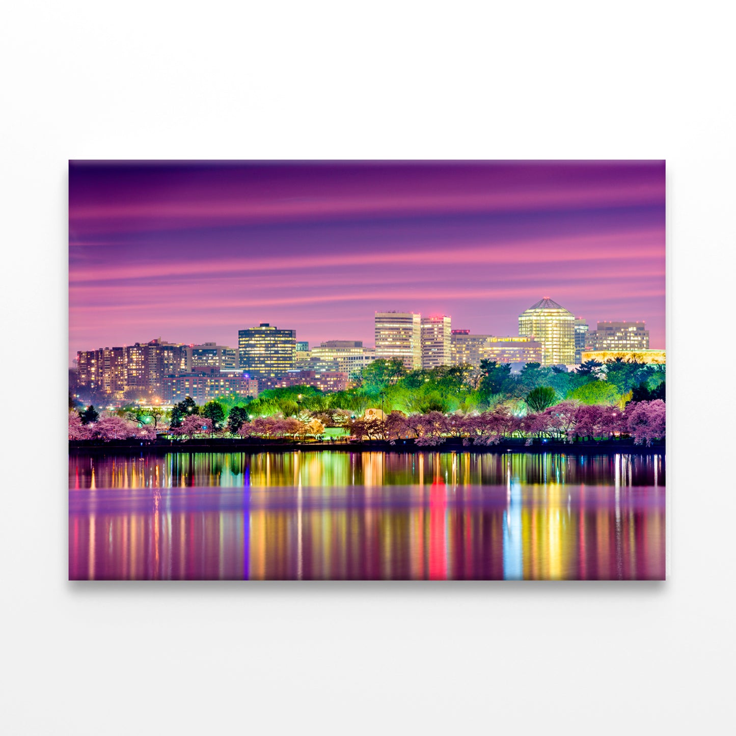 Tidal Basin Washington DC Skyline  Wall Art Decor 100% Australian Made
