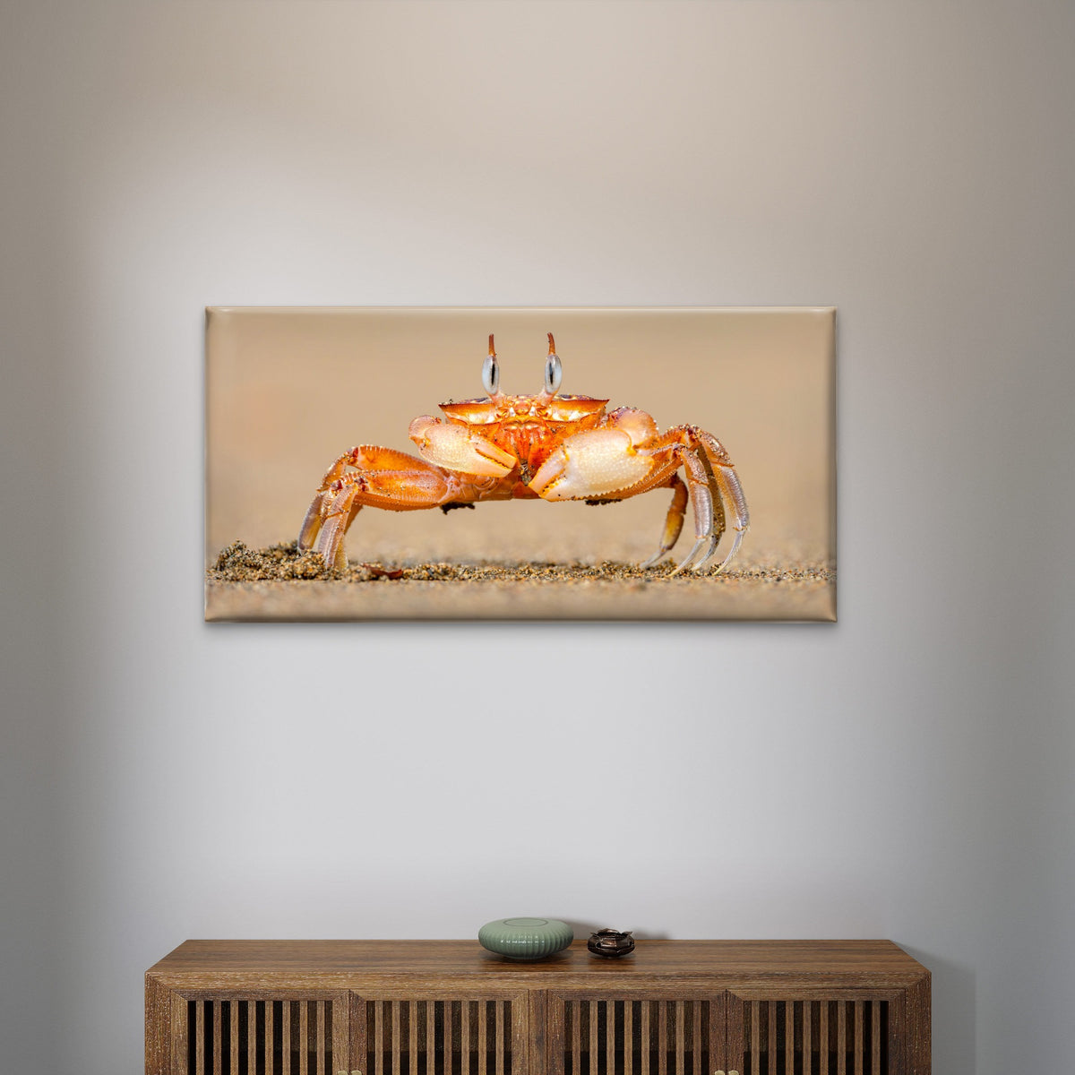 Horned Ghost Crab on a Beach Wall Art Canvas Office Home Room Framed 120x60cm