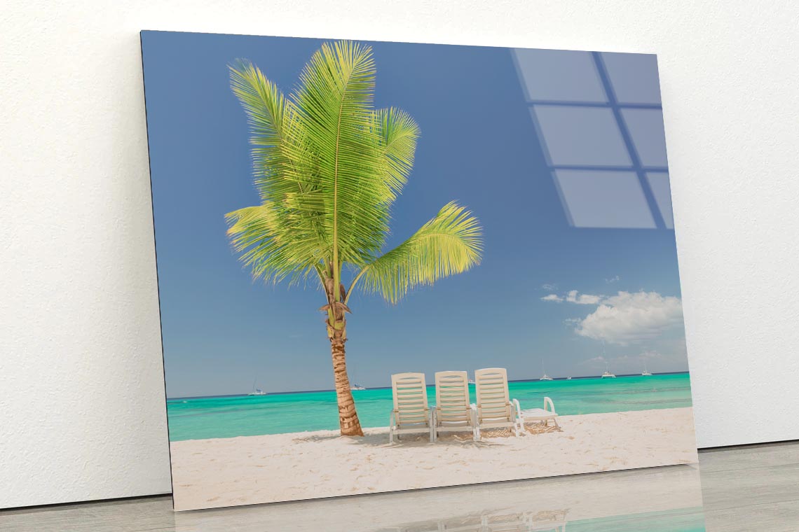 Coconut Tree and Chairs in Beach Acrylic Glass Print Tempered Glass Wall Art 100% Made in Australia Ready to Hang