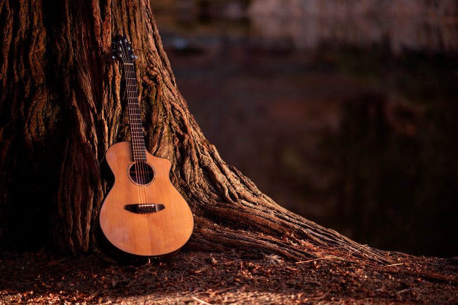 Wooden Acoustic Guitar Wall Art Decor 100% Australian Made