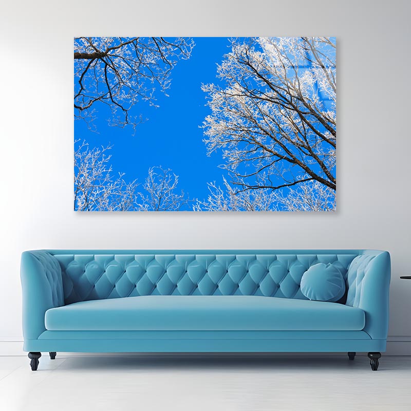 Frost on Tree Branches Acrylic Glass Print Tempered Glass Wall Art 100% Made in Australia Ready to Hang