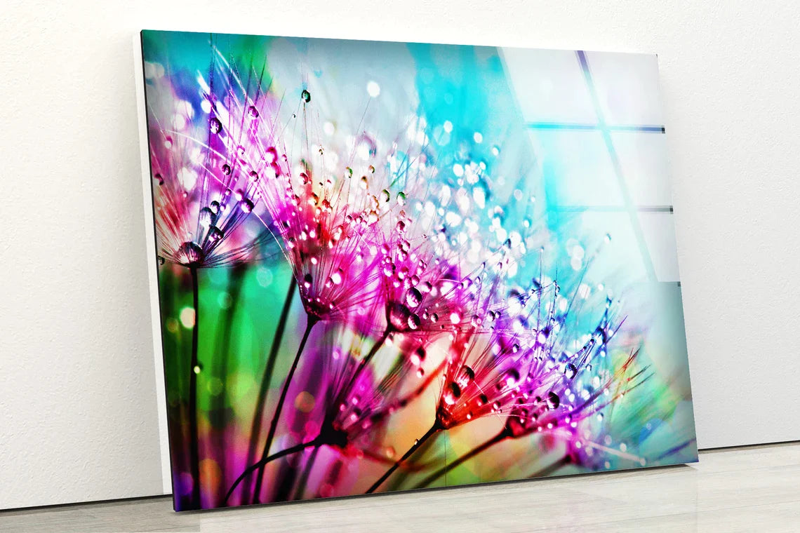 Waterdrops on Dandelion UV Direct Aluminum Print Australian Made Quality