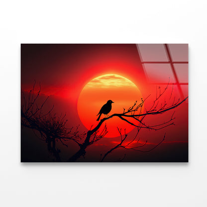 Bird, Sun & Sunset Acrylic Glass Print Tempered Glass Wall Art 100% Made in Australia Ready to Hang