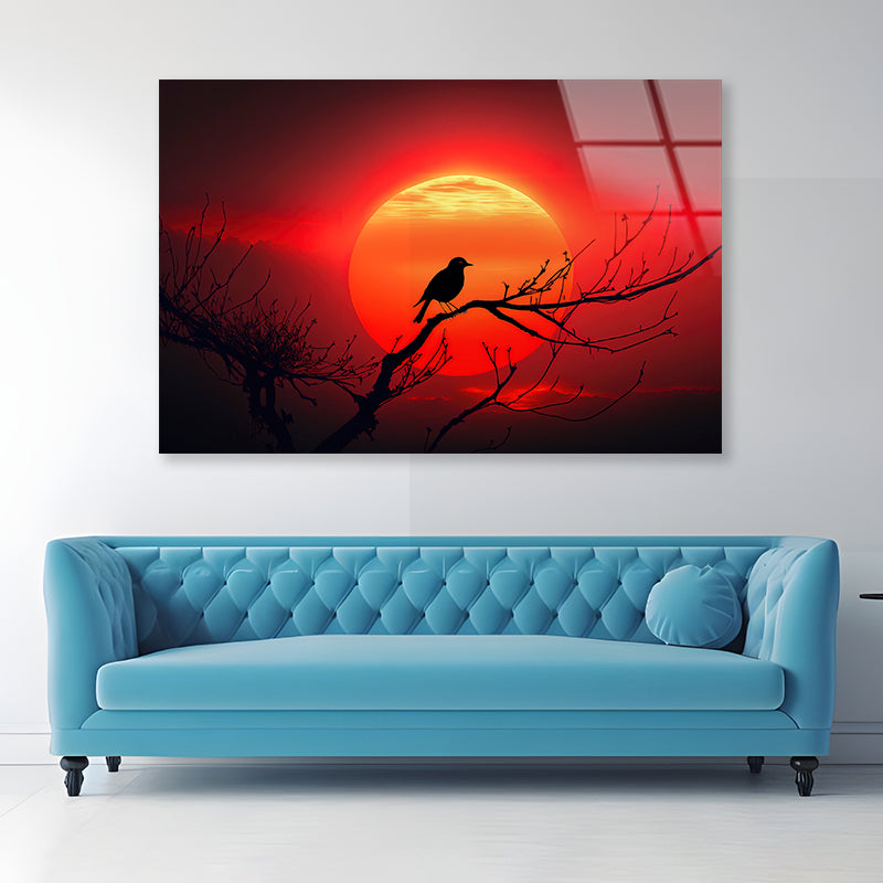 Bird, Sun & Sunset Acrylic Glass Print Tempered Glass Wall Art 100% Made in Australia Ready to Hang