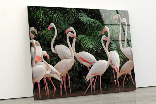 Flamingo Birds Forest UV Direct Aluminum Print Australian Made Quality