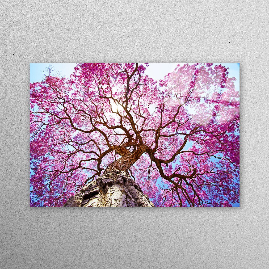 Purple Tree Wall Art Acrylic Glass Print Tempered Glass Wall Art 100% Made in Australia Ready to Hang