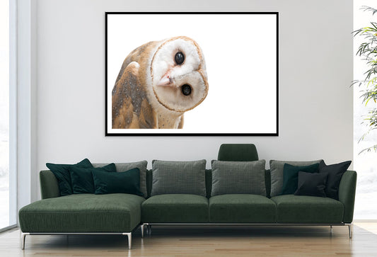 White and Brown Barn Owl Resting Home Decor Premium Quality Poster Print Choose Your Sizes